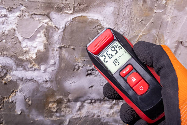 Best Post-Flood Mold Remediation in South Whittier, CA